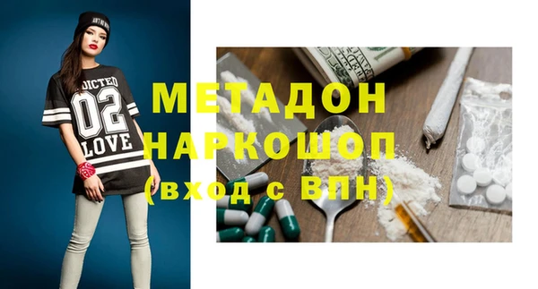 стаф Алзамай