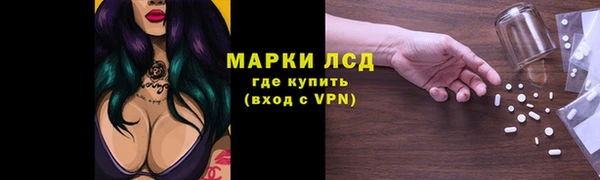 стаф Алзамай