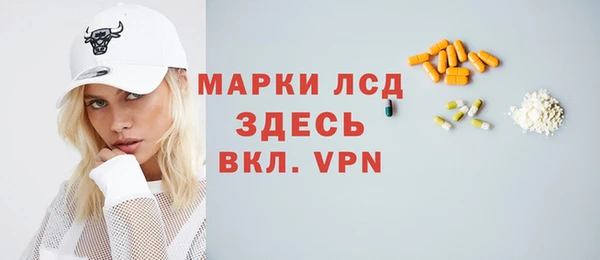 стаф Алзамай