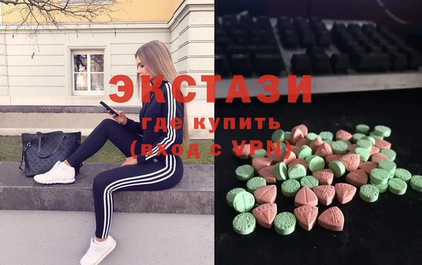 стаф Алзамай