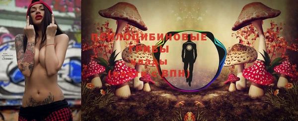 apvp Алексин