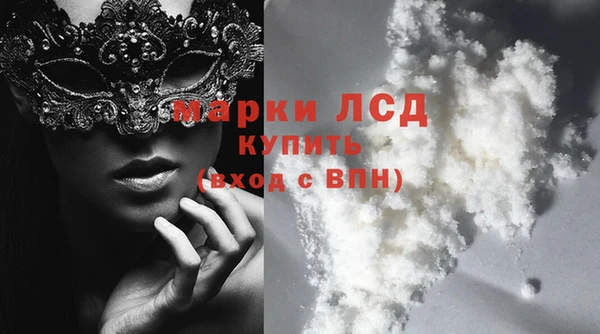 стаф Алзамай