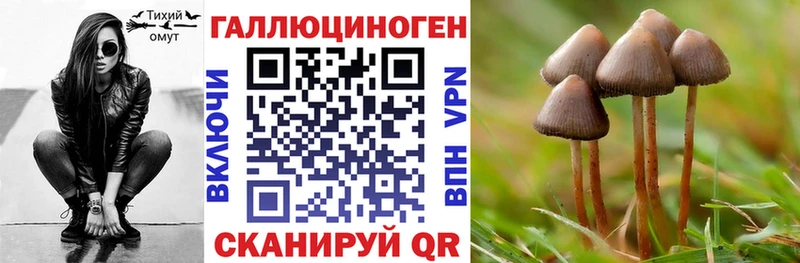Псилоцибиновые грибы Cubensis  Новоузенск 